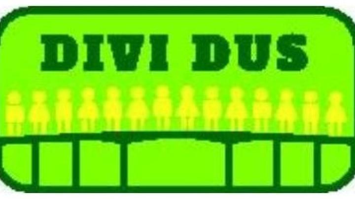 DiviDusDagsmærke